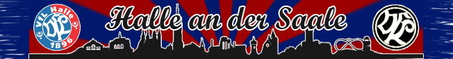 webschal skyline.jpg